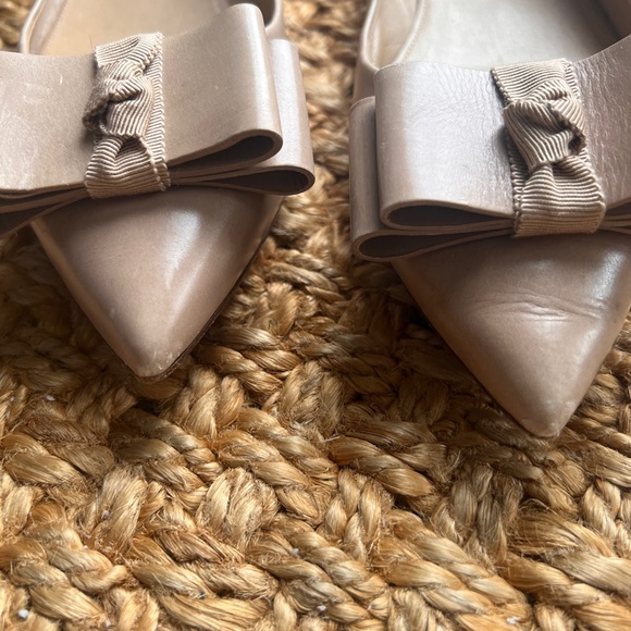 Jcrew pointed toe Ballet Flats - Picture 3 of 10